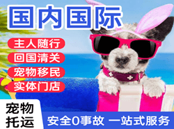 佳木斯国际宠物托运 【国